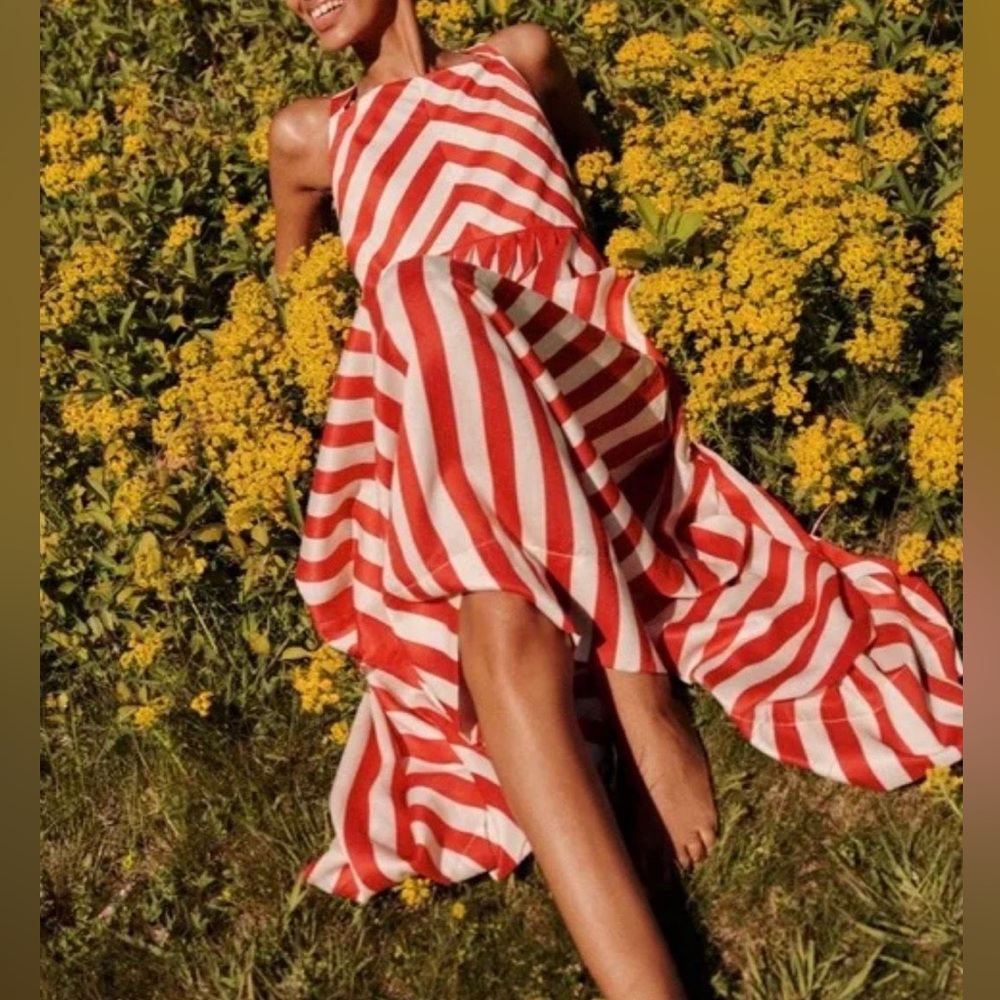 Tuckernuck Rouge Stripe Laina Dress in Red White S_NWT - Picture 5 of 9